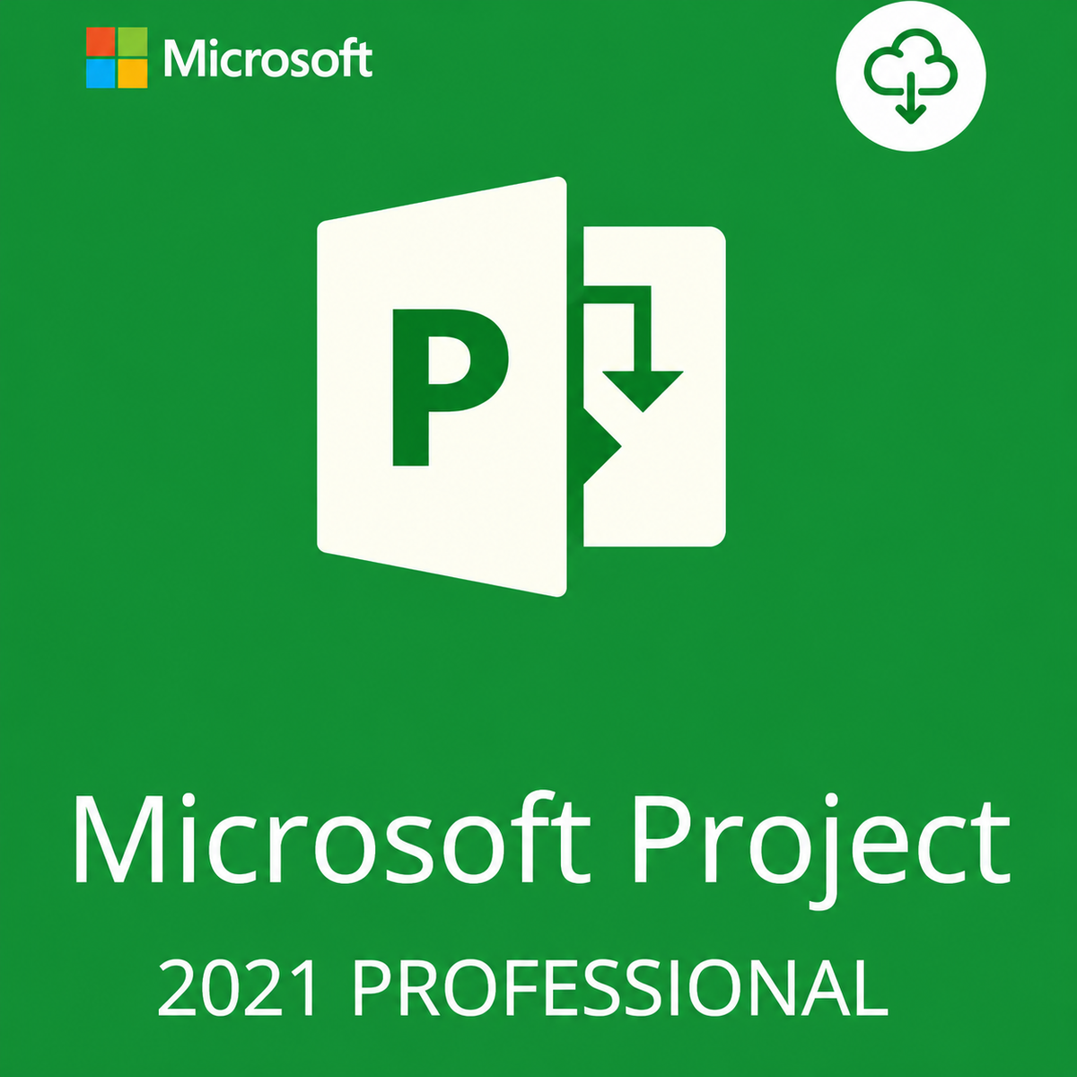 PROJECT PROFESSIONAL 2021 ACTIVATION KEY – (PC)